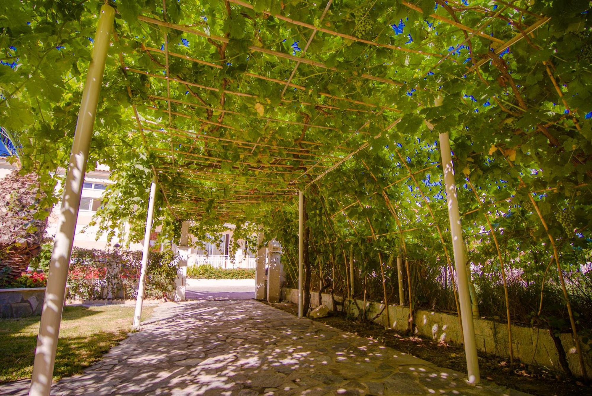 Sea Side Studios Tsilivi  Dış mekan fotoğraf